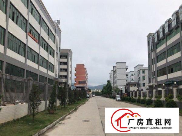  谢岗原房东优质好厂房无任何公摊
