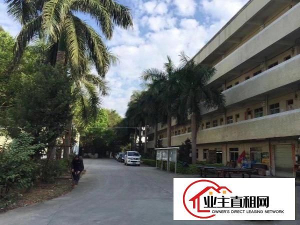  出租谢岗燕东工业区鼎嘉工业园厂房