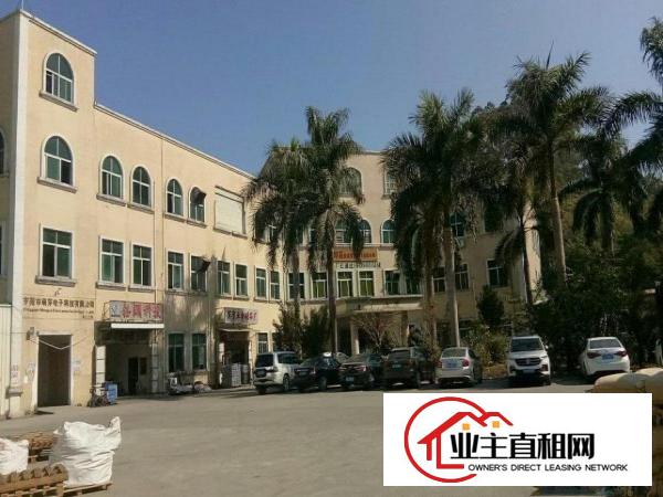  出租谢岗燕东工业区鼎嘉工业园厂房