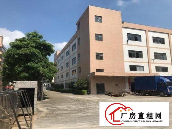  谢岗城区新开发区
