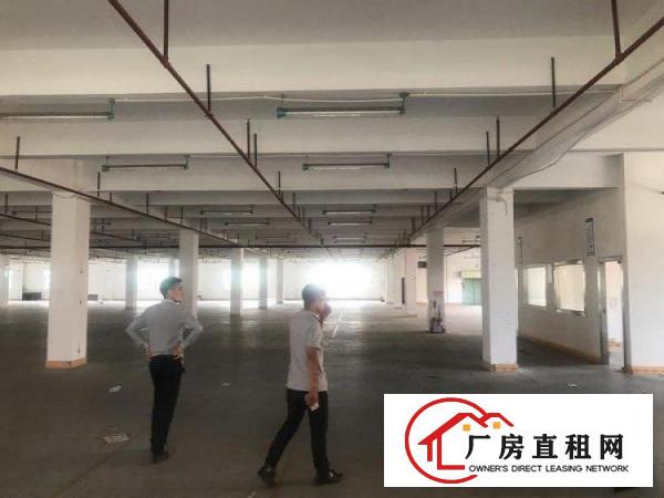  谢岗城区新开发区