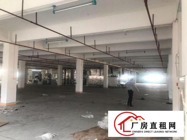  谢岗城区新开发区
