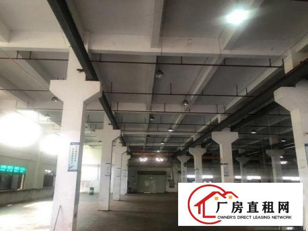  谢岗城区新开发区