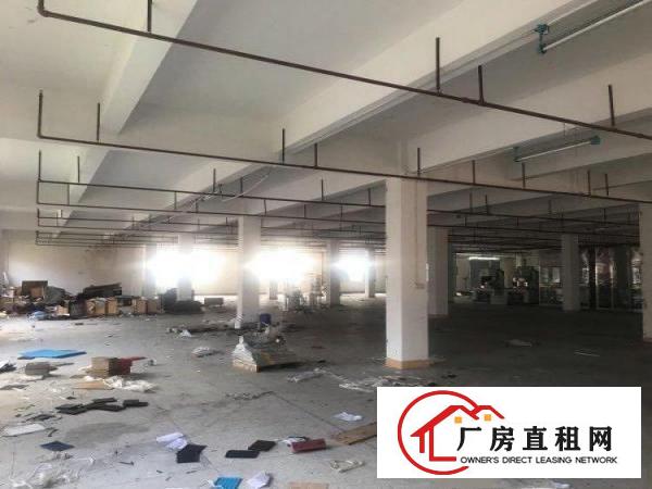  谢岗城区新开发区