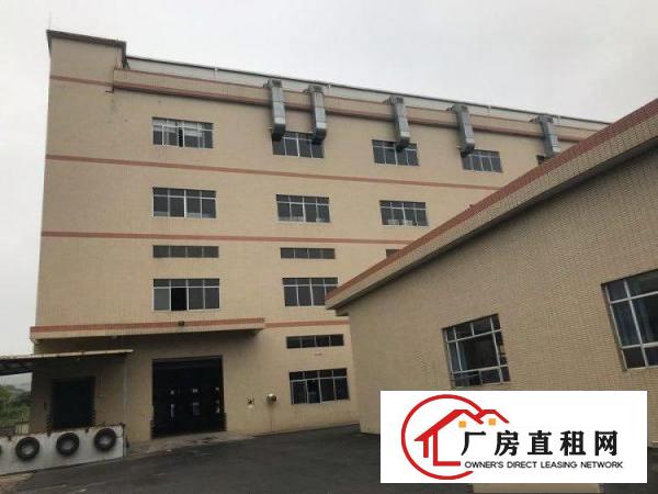  谢岗镇原房东独门独院