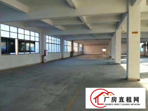  谢岗镇原房东独门独院