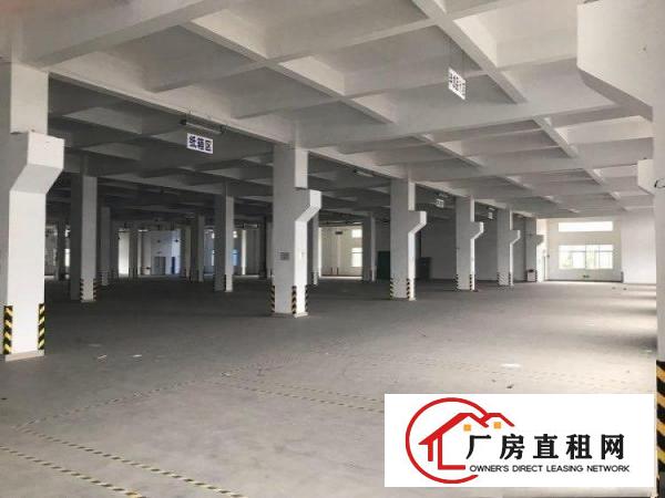  谢岗镇原房东独门独院