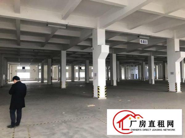  谢岗镇原房东独门独院