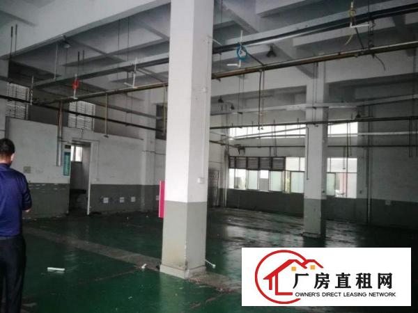  原房东标准一楼出租实际面积