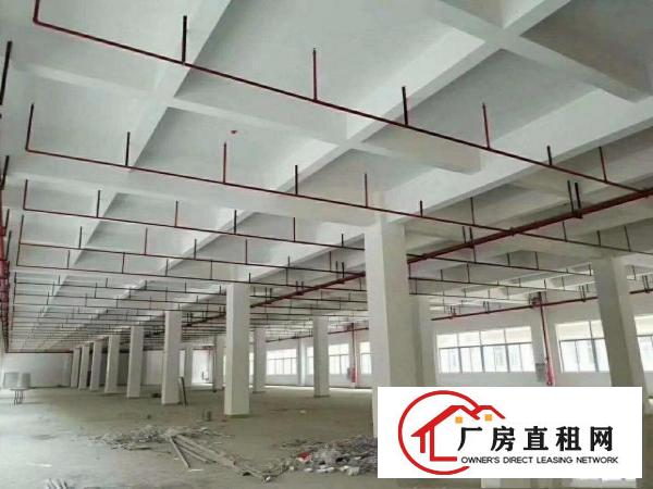  原房东全新楼房带喷淋7500