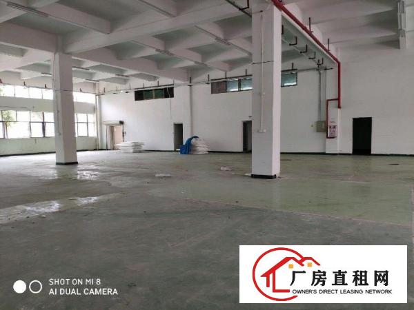  谢岗—龙璧工业园，标准厂房，带阁楼