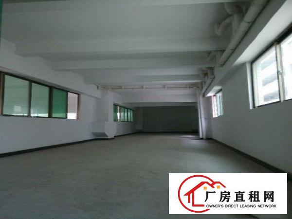  谢岗—龙璧工业园，标准厂房，带阁楼