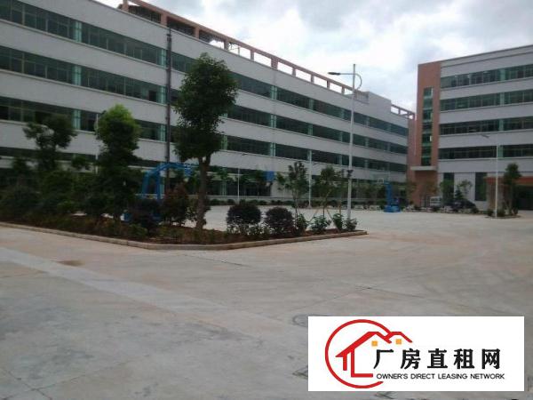  谢岗—龙璧工业园，标准厂房，带阁楼