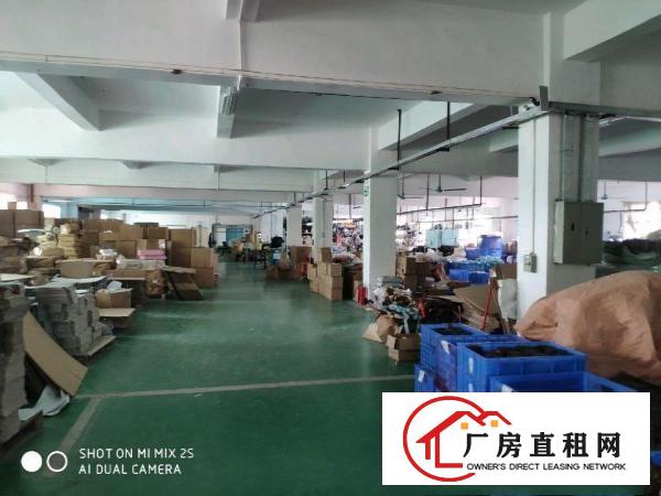  谢岗原房东独院厂房出租