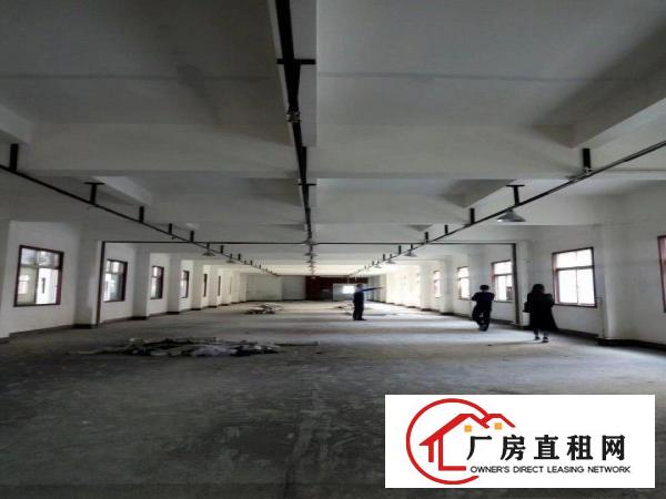  24小时专人管理带电梯整层出租