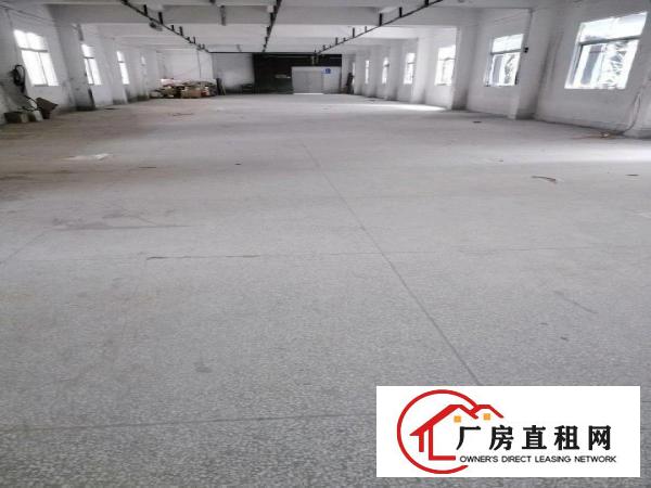  24小时专人管理带电梯整层出租