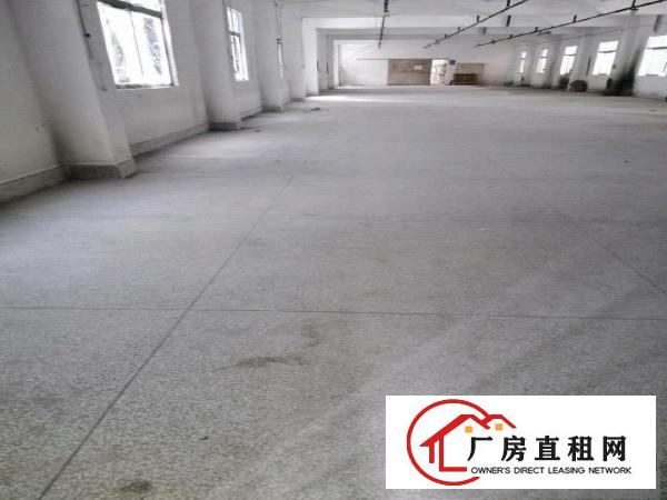  24小时专人管理带电梯整层出租