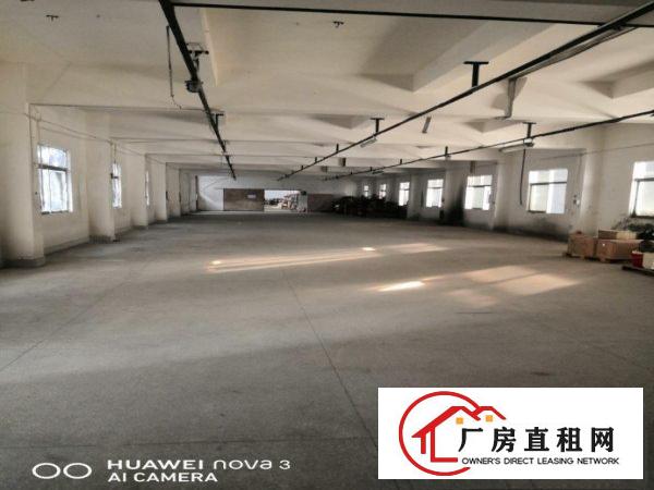  24小时专人管理带电梯整层出租