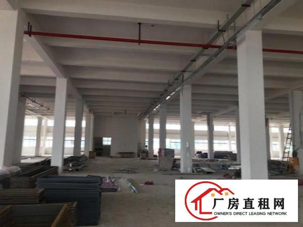  谢岗新开发区厂房10000平米