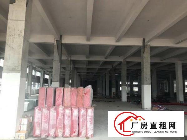  谢岗新开发区厂房10000平米