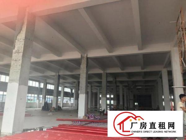  谢岗新开发区厂房10000平米