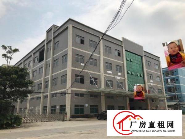  谢岗镇独院厂房出租便宜