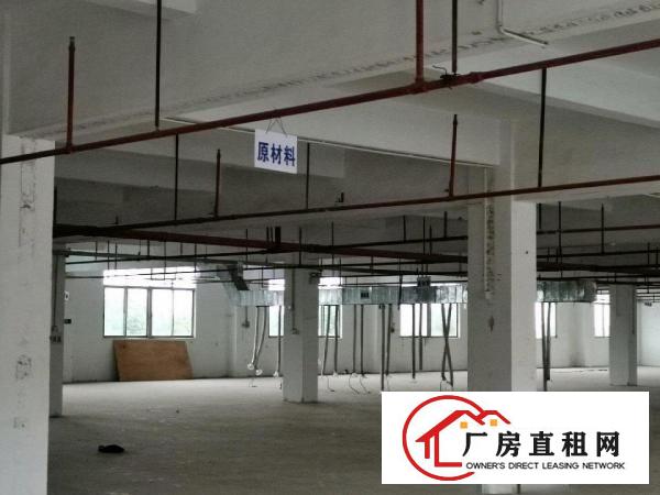  谢岗单层钢构优惠出租，
