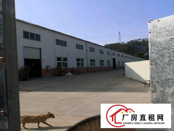  铁皮房九米高出租，合租