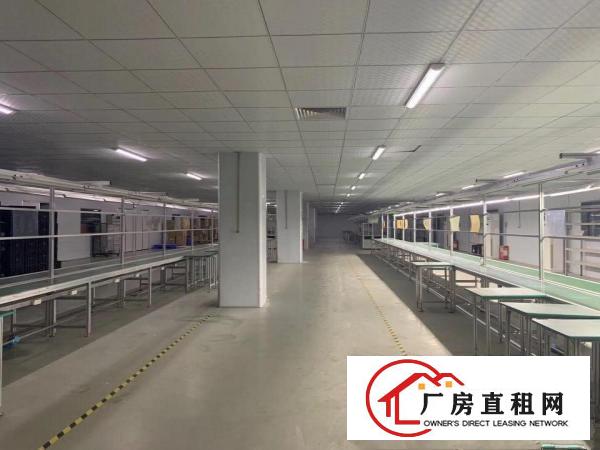  谢岗市场附近原房东独院厂房出租7200平适合塑胶五金电子