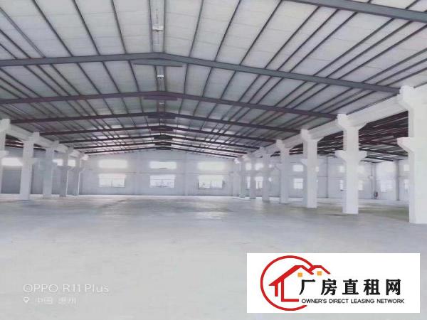  原房东花园式砖墙到顶钢构独院空地比厂房大