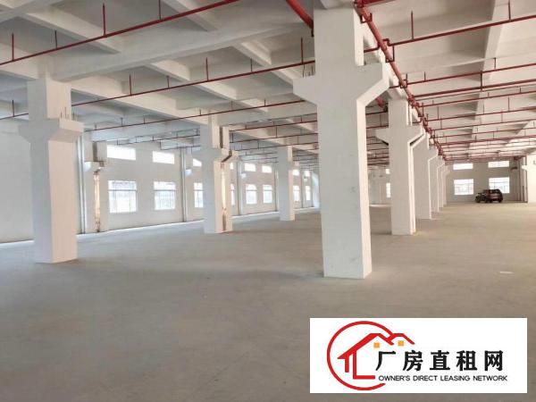  成熟工业区全新标准厂房