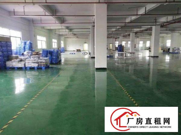  成熟工业区全新标准厂房