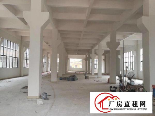  桥头镇全新4层独立花园式厂房