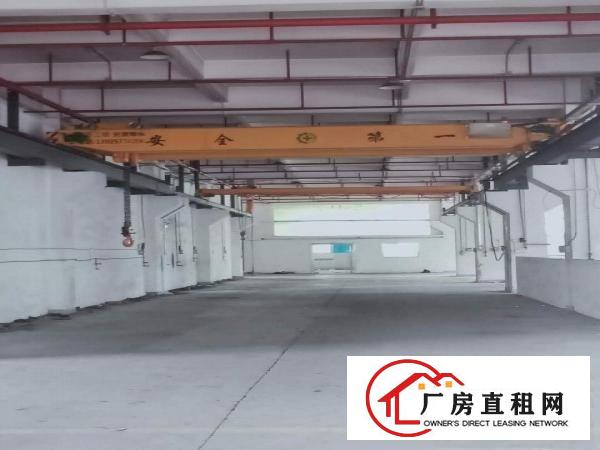  东莞桥头标准一楼厂房！！