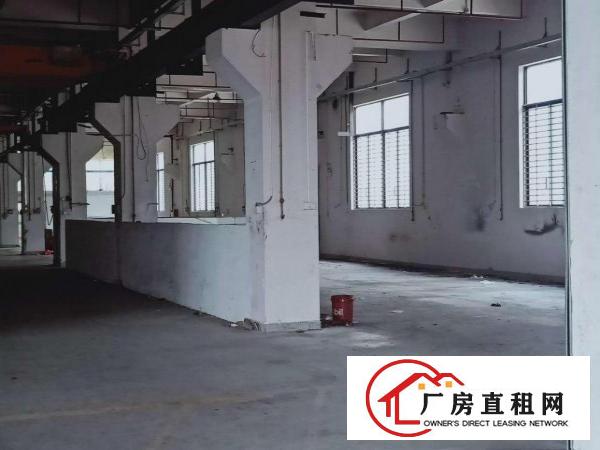  东莞桥头标准一楼厂房！！
