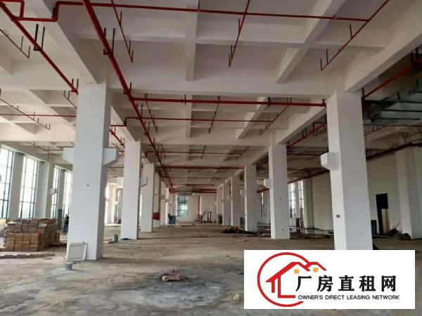  桥头新出塑胶喷油，家具喷油，注塑，吸塑行业原房东厂房
