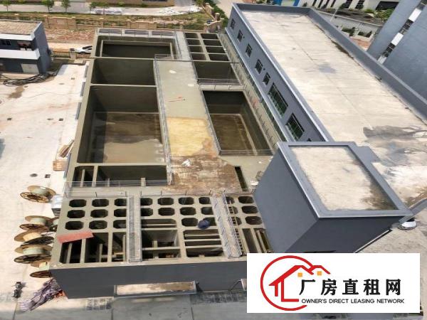  桥头新出塑胶喷油，家具喷油，注塑，吸塑行业原房东厂房