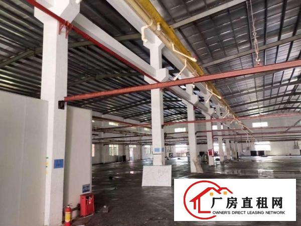  独院钢构滴水10米，交通便利，好招工，无居民，成熟工业区内