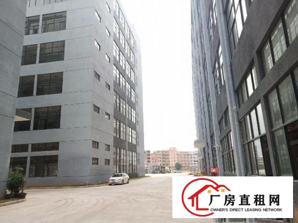  桥头全新标准一楼带牛角