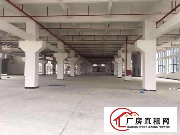  家具、印刷、电子、注塑、喷油、喷粉等行业厂房出租