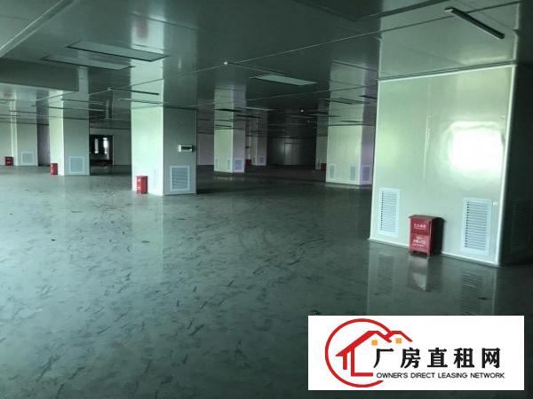  桥头镇现成无尘车间出租