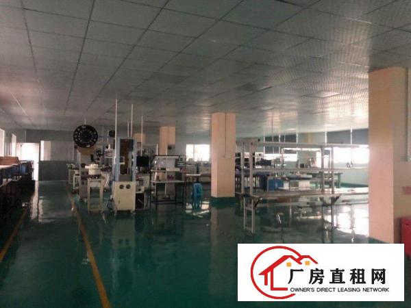  桥头镇现成无尘车间出租