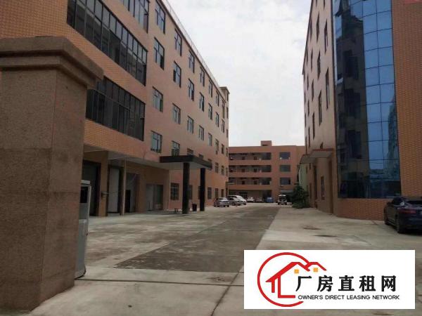  出租桥头镇桥东产业园全新重工业厂房