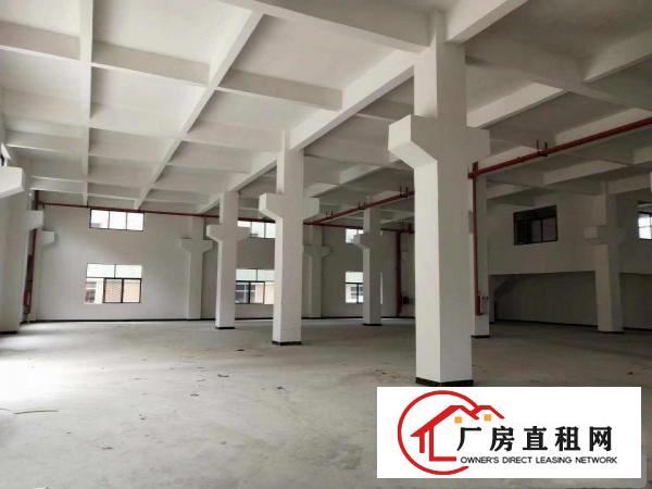  出租桥头镇桥东产业园全新重工业厂房