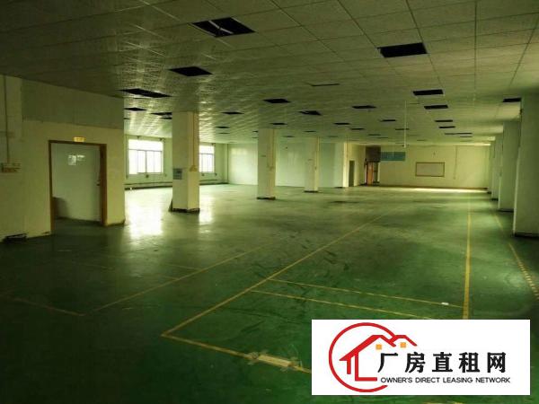  出租桥头镇桥东产业园全新重工业厂房