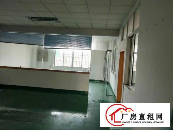  出租桥头镇桥东产业园全新重工业厂房