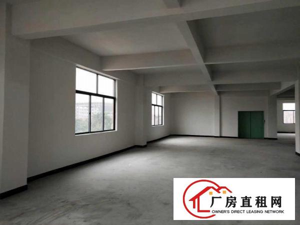 出租桥头镇桥东产业园全新重工业厂房