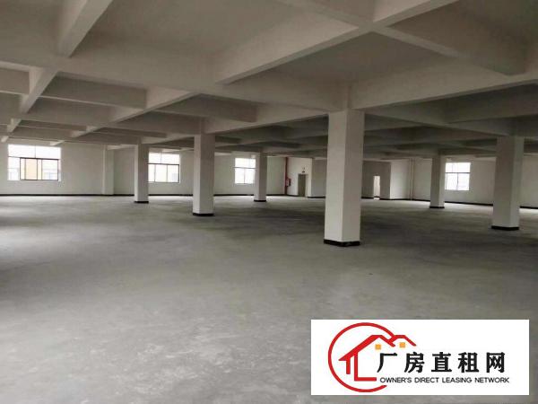  出租桥头镇桥东产业园全新重工业厂房