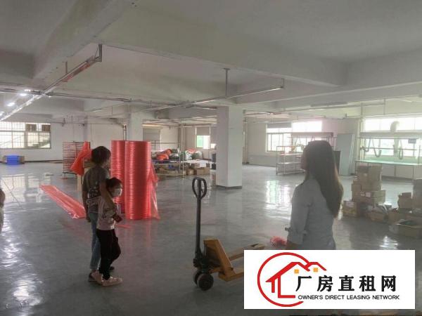  出租桥头镇大洲原房东2楼1200平带现成办公室10块10块
