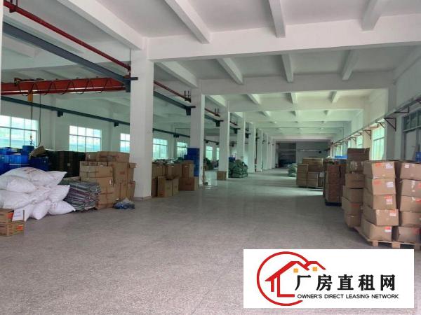  出租桥头镇桥头城区原房东独院6500平带独立办公楼